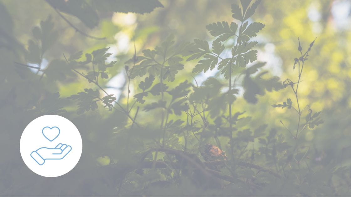 Earth Day 2026: our power, our planet – and the role your investments play